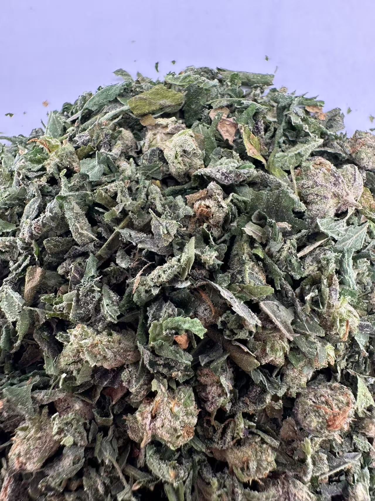 Indoor Shake - Cali Gas