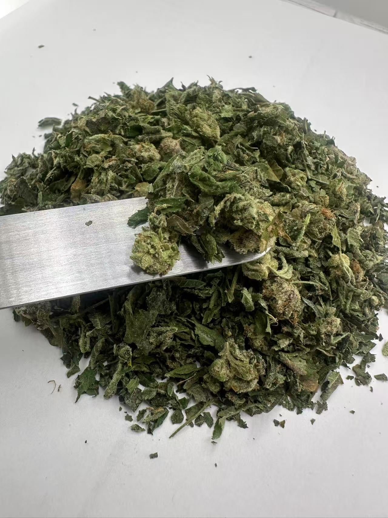 Indoor Shake - Cali Gas