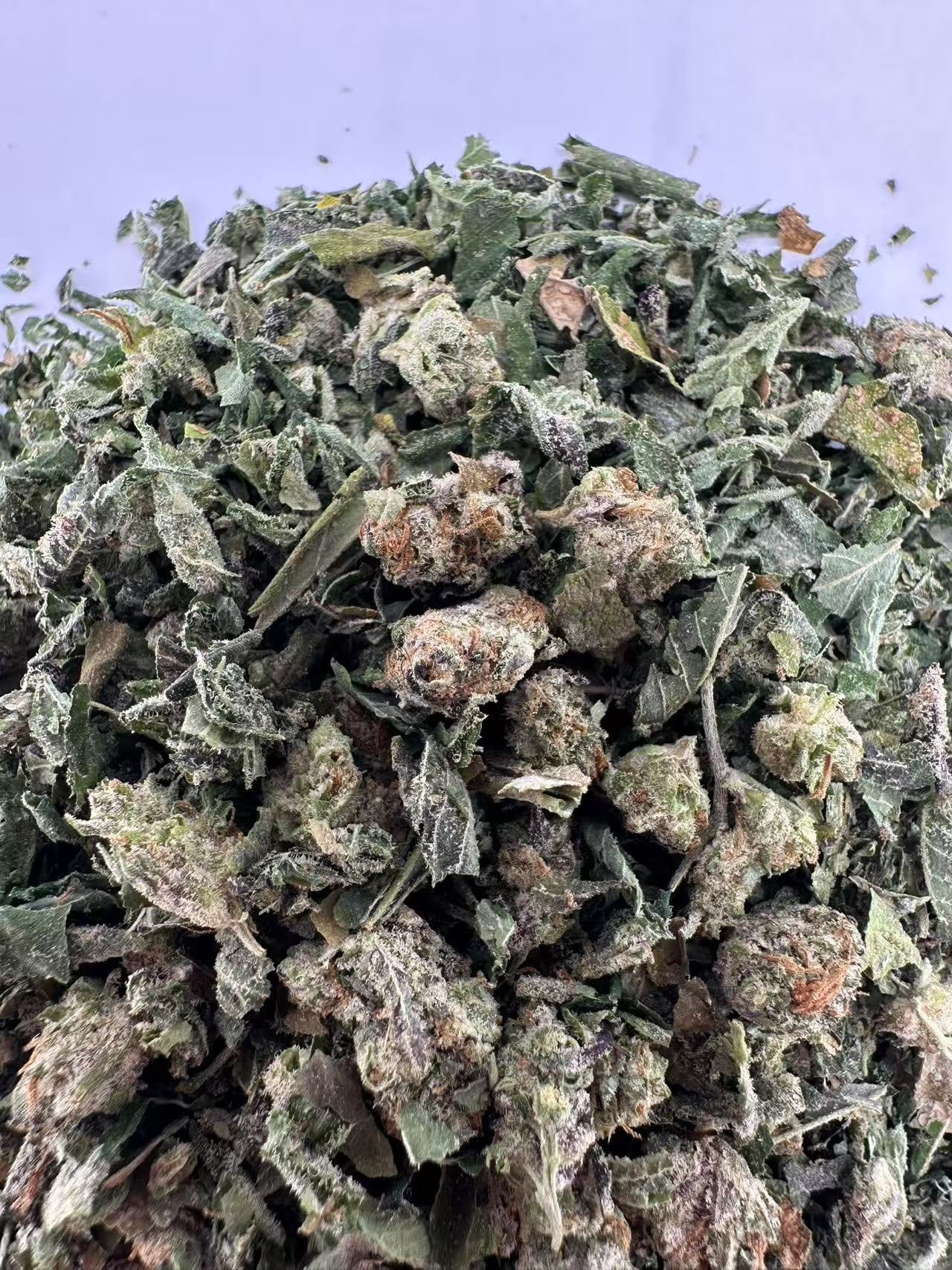 Indoor Shake - Cali Gas
