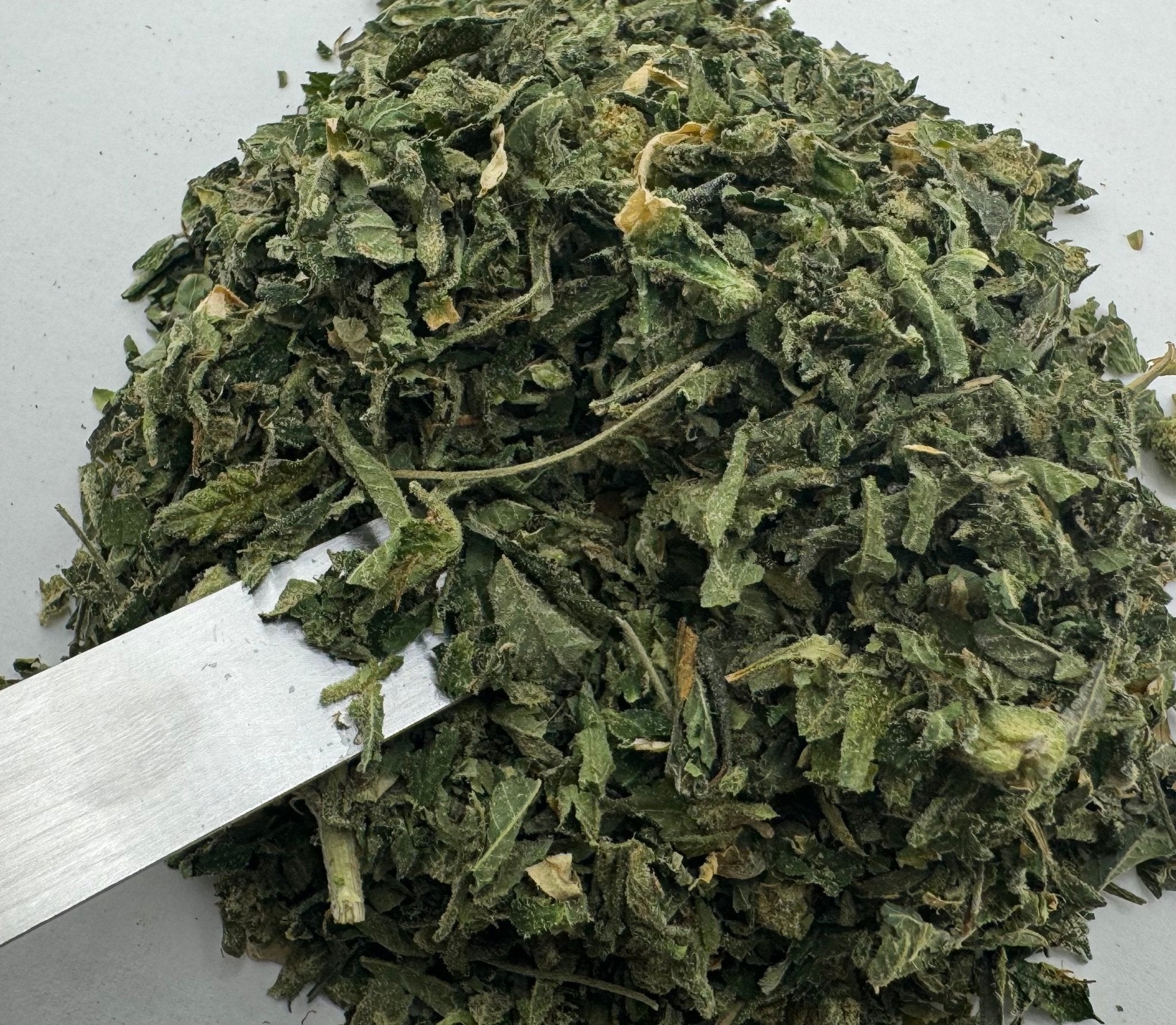 Indoor Shake - Candy Gelato