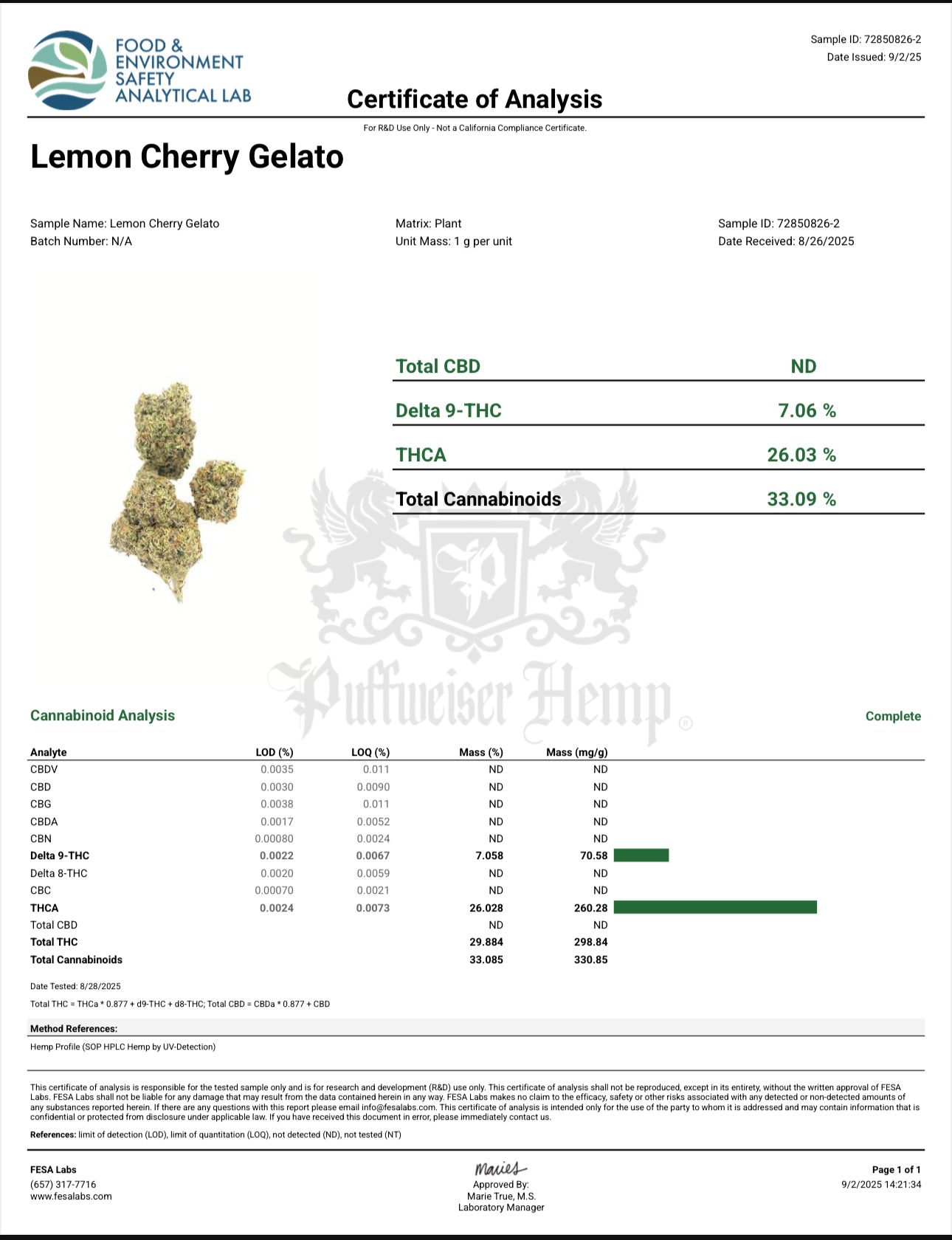 Indoor Shake - Lemon Cherry Gelato