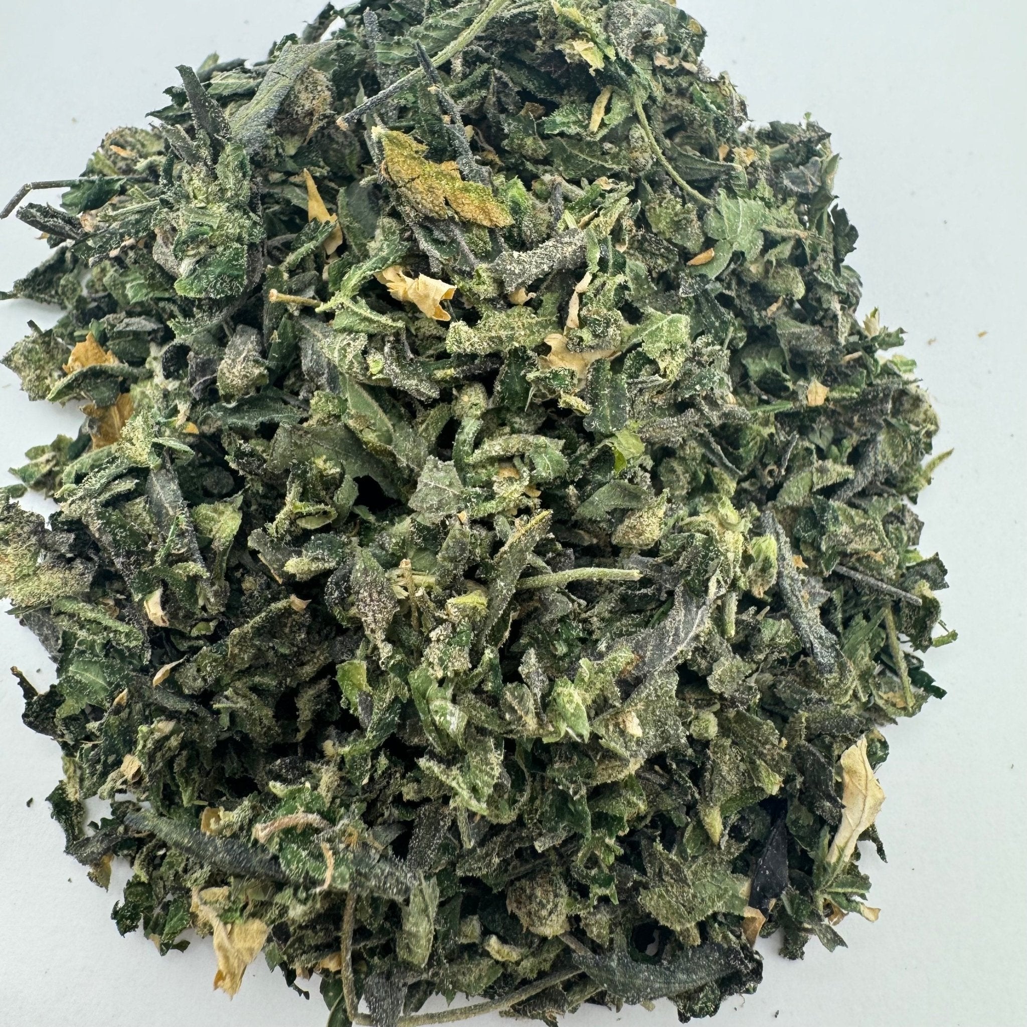 Indoor Shake - Lemon Cherry Gelato