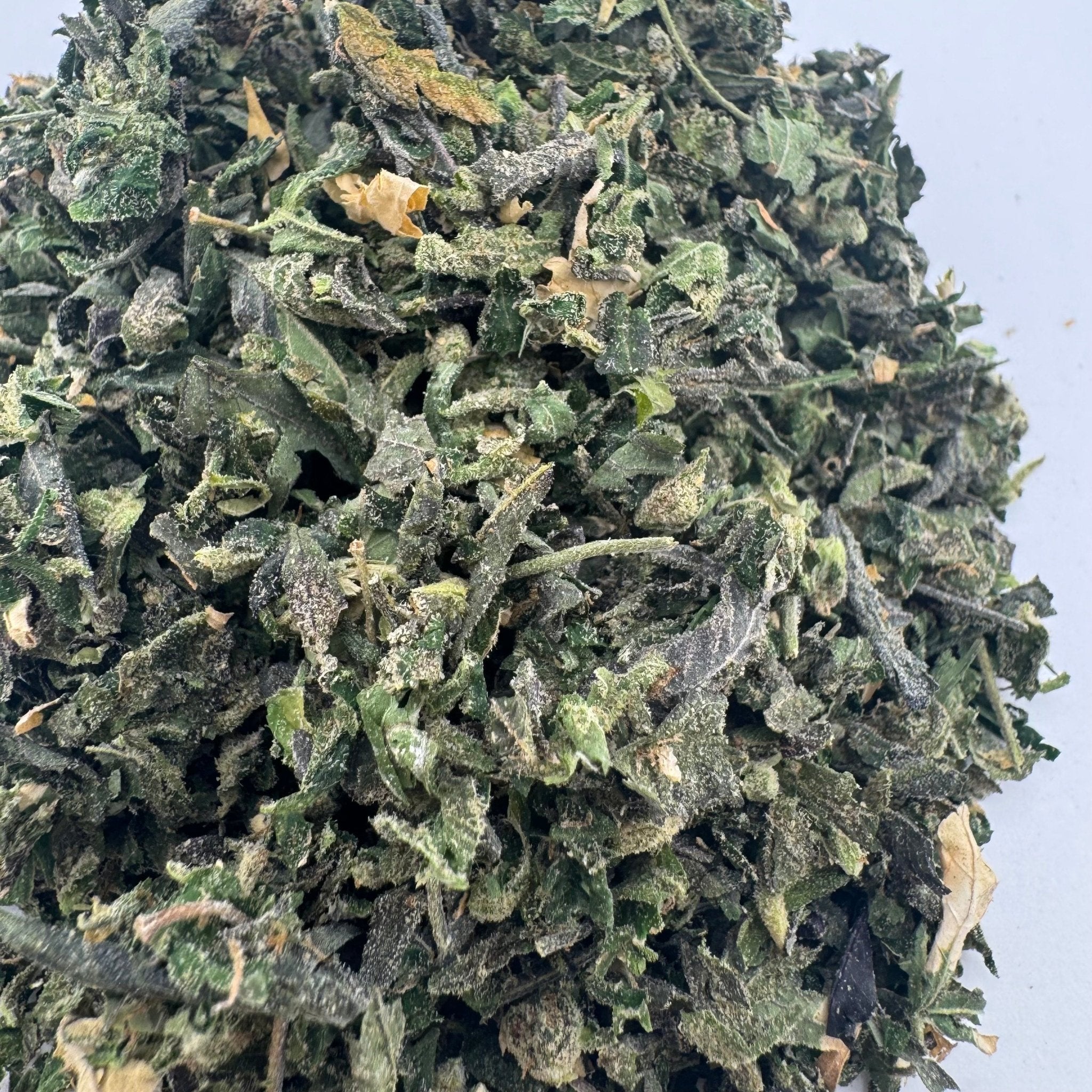 Indoor Shake - Lemon Cherry Gelato