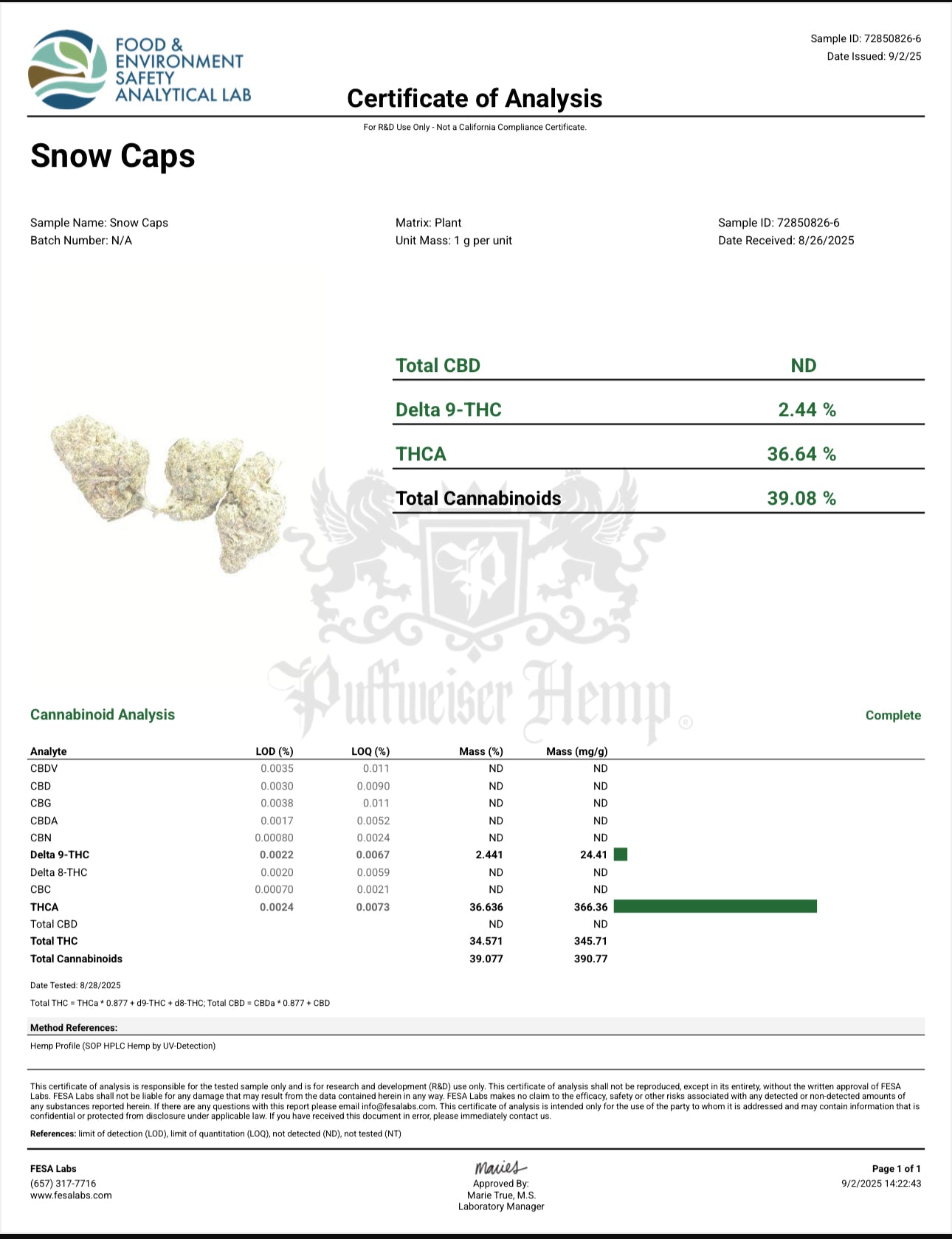 Snowcaps - Blue Gummiez