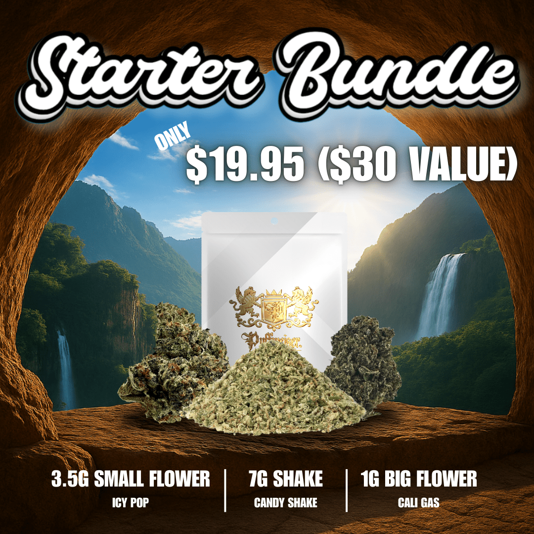 Starter Bundle