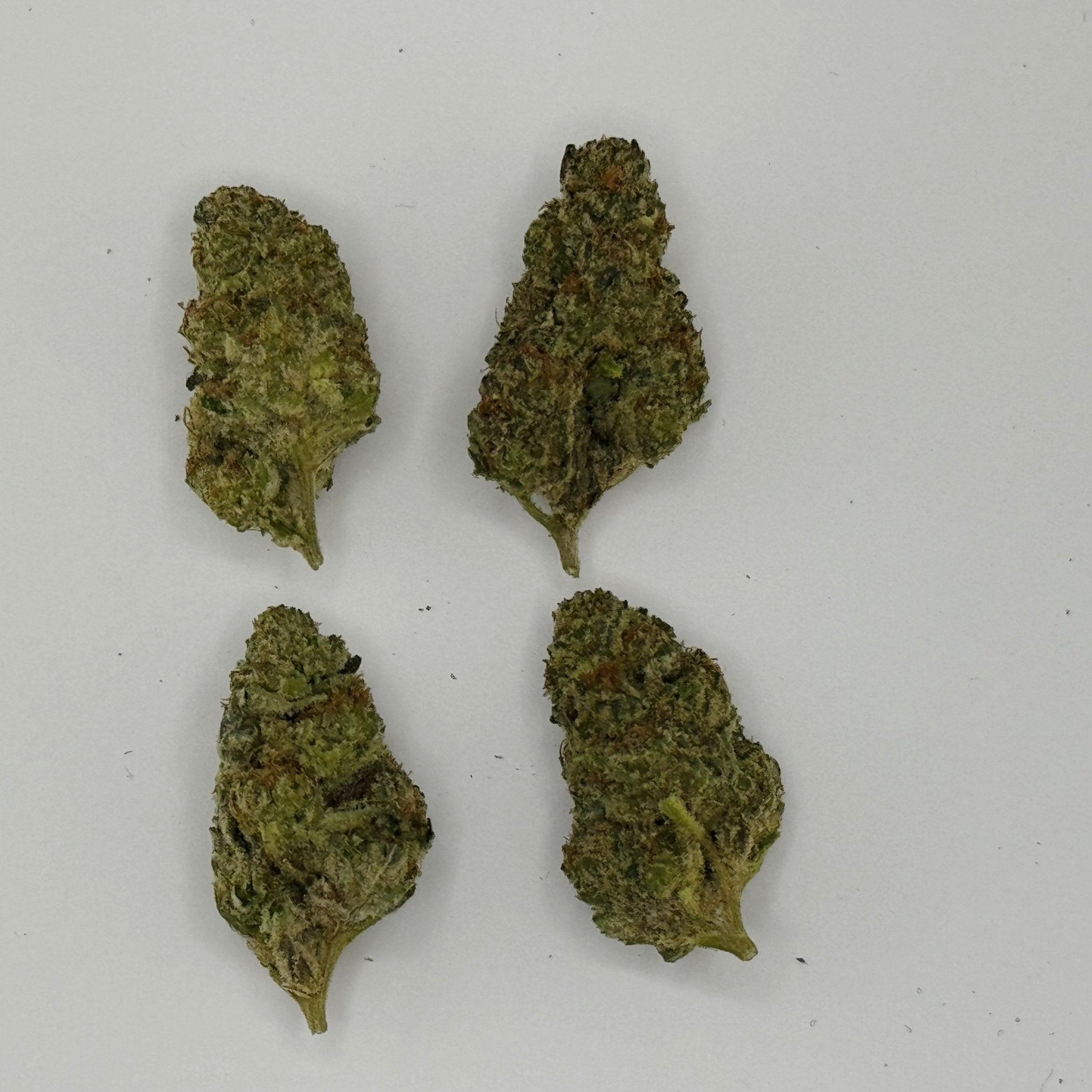 THCA Medium Flowers - Icy Pops