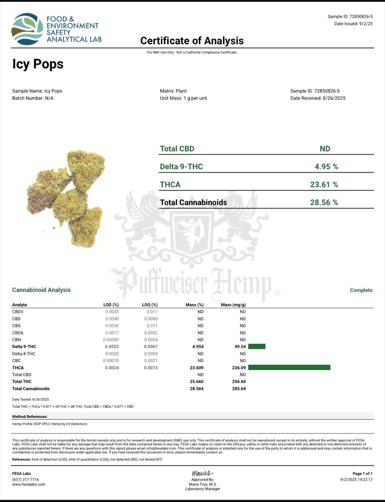 Top Flower Wholesale - Icy Pop